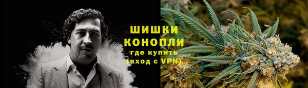 прущая мука Магас