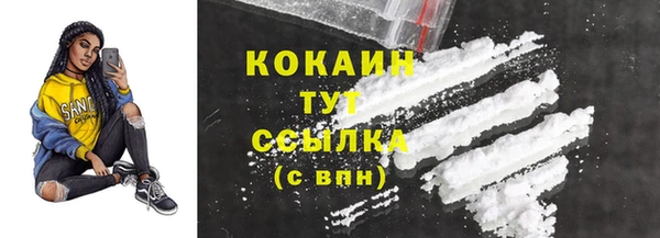 индика Вязьма