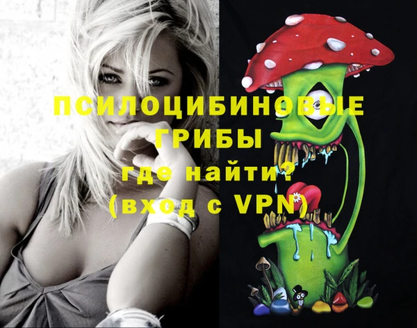 шишки Горнозаводск