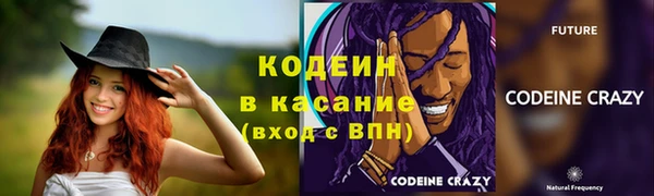 индика Вязьма