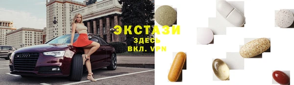 индика Вязьма