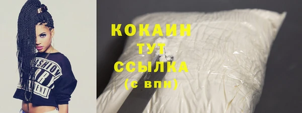 твердый Горняк