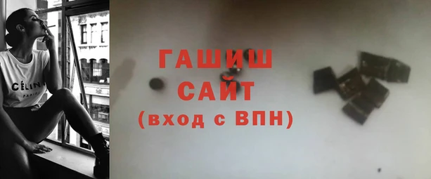 индика Вязьма