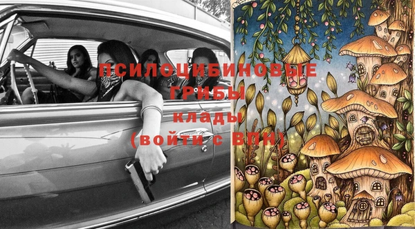 ешки Вяземский