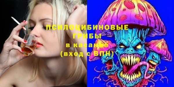 PSILOCYBIN Вязники