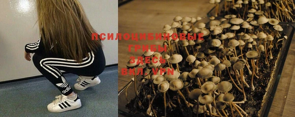 гашишное масло Медвежьегорск
