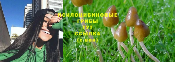 PSILOCYBIN Вязники