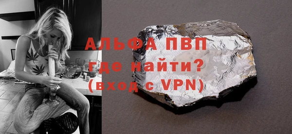 индика Вязьма