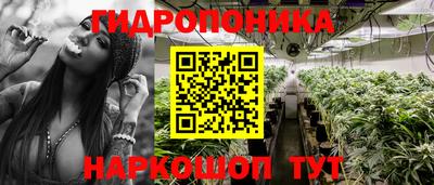 spice Будённовск