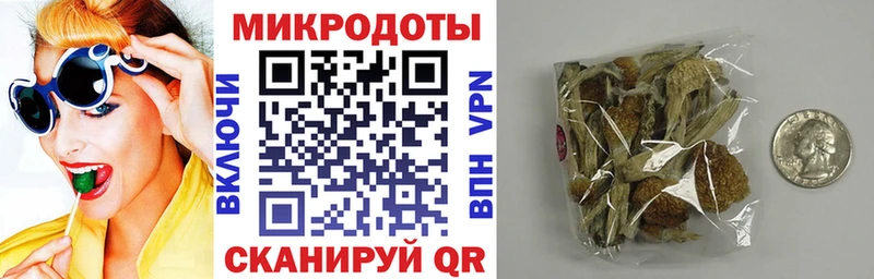 Псилоцибиновые грибы Cubensis  Гуково 