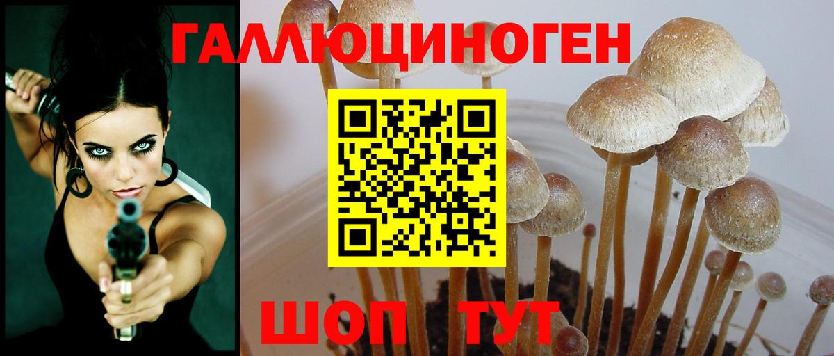 Псилоцибиновые грибы мицелий Гуково